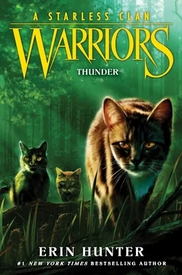 booksnthingswarehouse-11289567