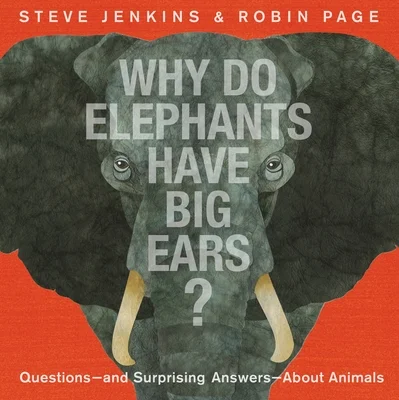 booksnthingswarehouse-11333894