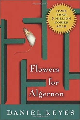 booksnthingswarehouse-11360630