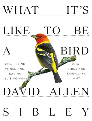 booksnthingswarehouse-11415837