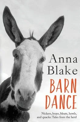 booksnthingswarehouse-11495486