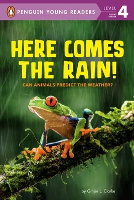booksnthingswarehouse-11551959