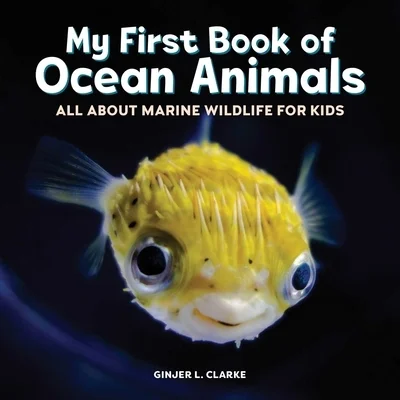 booksnthingswarehouse-11572546