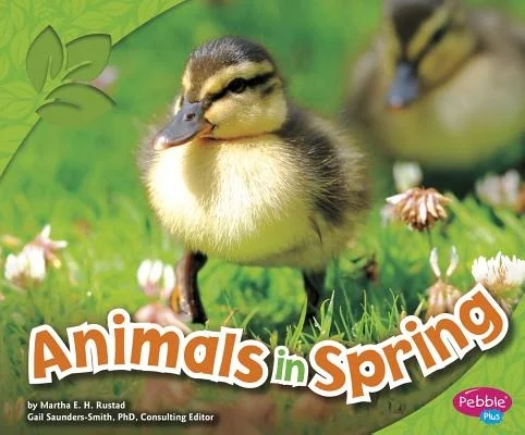 booksnthingswarehouse-11916215