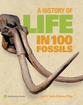 booksnthingswarehouse-11982976