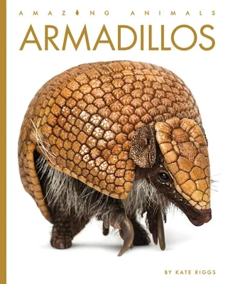 booksnthingswarehouse-11992439