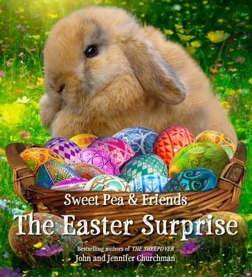 booksnthingswarehouse-12064941