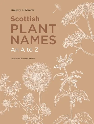 booksnthingswarehouse-12082488