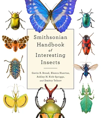 booksnthingswarehouse-21313099