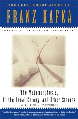 booksnthingswarehouse-21342047