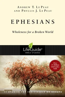 booksnthingswarehouse-21497200