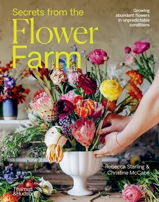 booksnthingswarehouse-21520673
