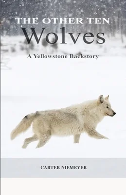 booksnthingswarehouse-21636780
