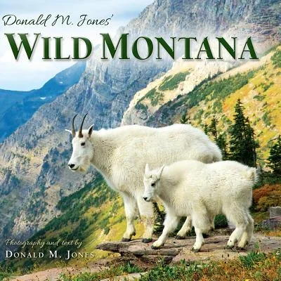 booksnthingswarehouse-21716828