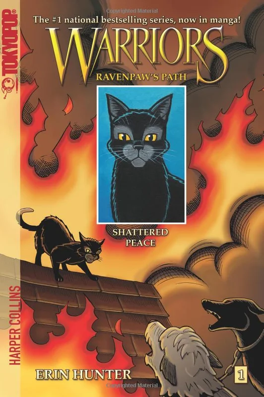 booksnthingswarehouse-21799837