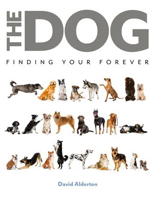 booksnthingswarehouse-21889583