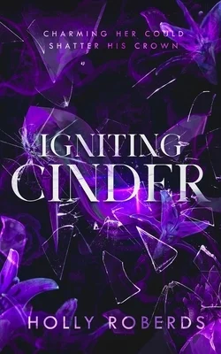 booksnthingswarehouse-21915878