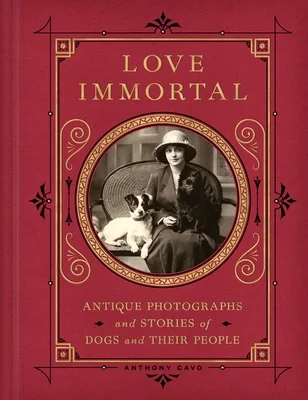 booksnthingswarehouse-31375822