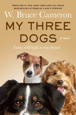 booksnthingswarehouse-31582016
