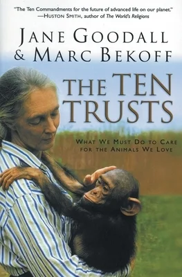 booksnthingswarehouse-31675976