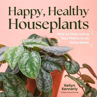 booksnthingswarehouse-31707595