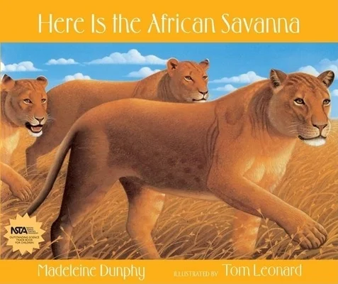 booksnthingswarehouse-31734784
