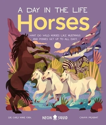 booksnthingswarehouse-32231268