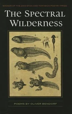 booksnthingswarehouse-41322638