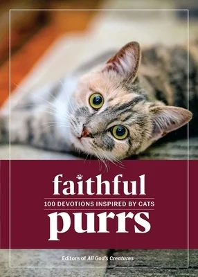 booksnthingswarehouse-41362378