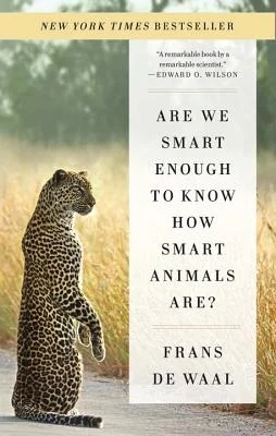 booksnthingswarehouse-41418796