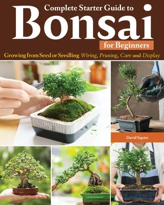 booksnthingswarehouse-41520912
