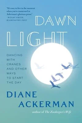 booksnthingswarehouse-41631966