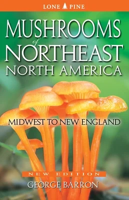 booksnthingswarehouse1219388