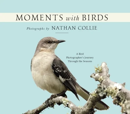 booksnthingswarehouse1808031