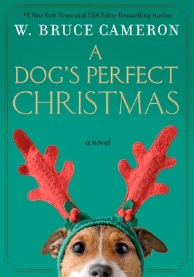 booksnthingswarehouse872038