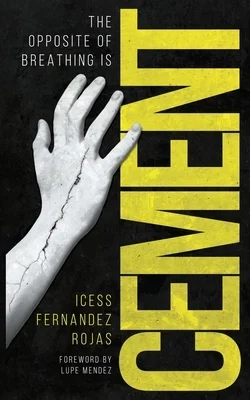 booksnthingswarehouse926482