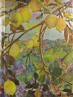 flowerburst-21316926