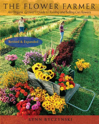 flowerburst-31263326