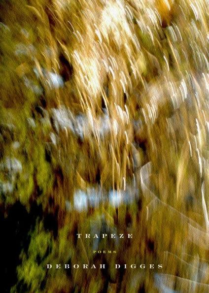 massivebookshop-31463414