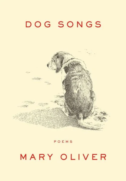 massivebookshop-31708837