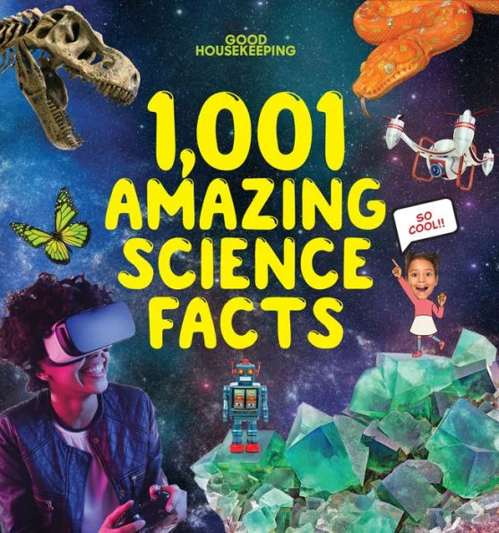 massivebookshop-42090682