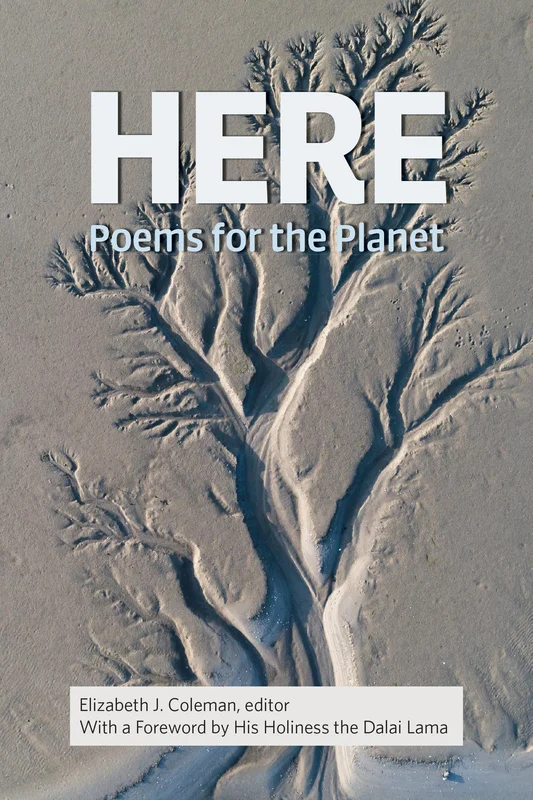 roundaboutbookstore-11435339