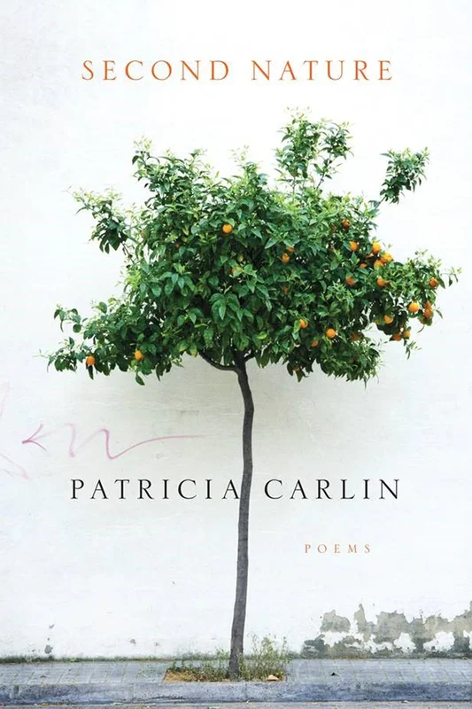roundaboutbookstore-11437581
