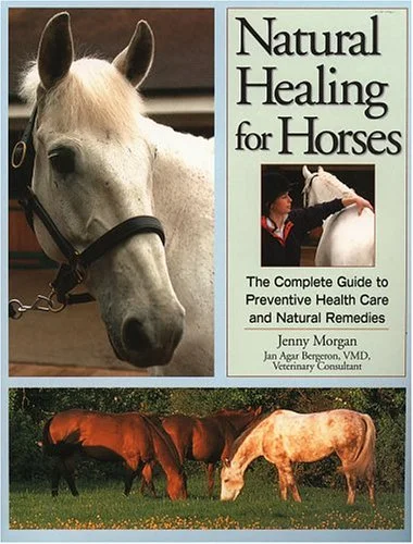 roundaboutbookstore-11500040