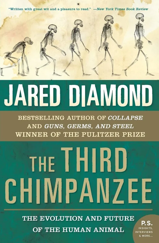 roundaboutbookstore-11552471