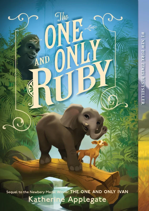 roundaboutbookstore-11587559
