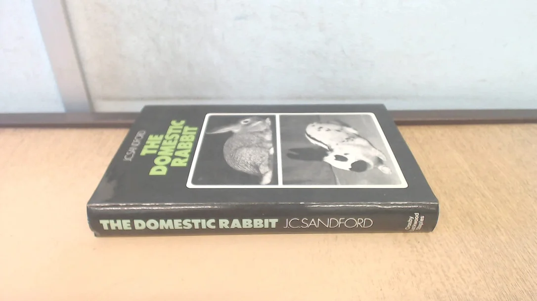 roundaboutbookstore-11593861