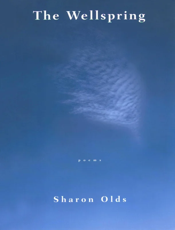 roundaboutbookstore-11628654