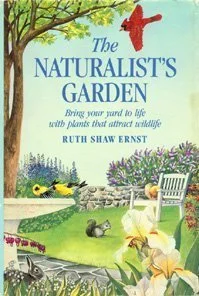 roundaboutbookstore-11635572