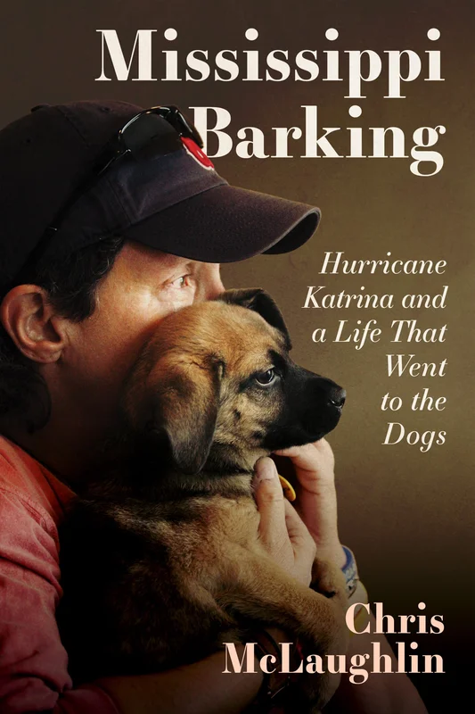 roundaboutbookstore-11637664